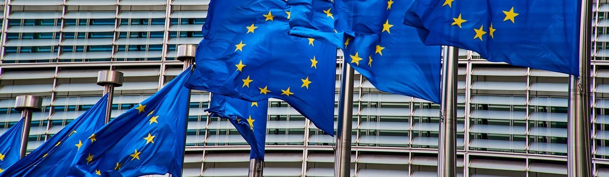 Evropska unija in Evropski parlament: od volitev do zaposlitve